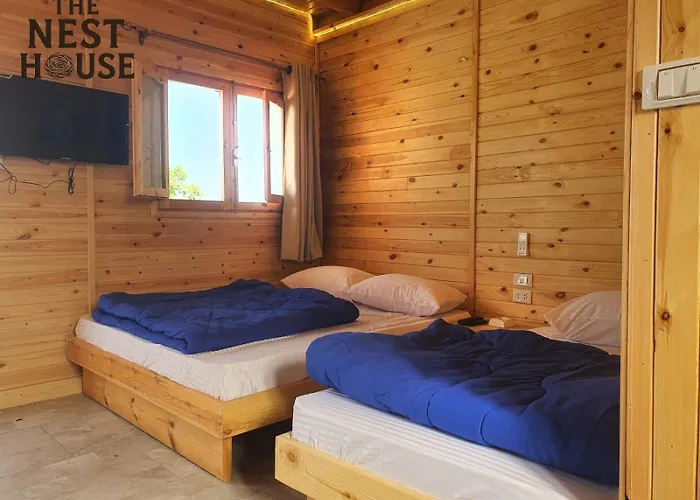 The Nest House *